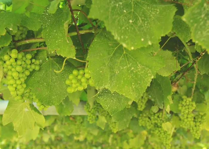 Vilacobiña Hotel Playa de la Lanzada